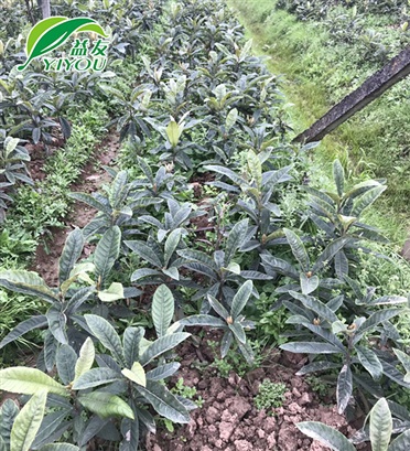 緯創(chuàng)資通